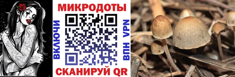 Псилоцибиновые грибы прущие грибы  Заводоуковск 
